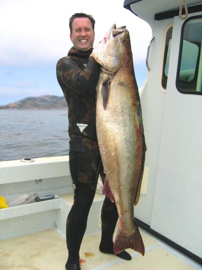 Lance Merker with 73 pound white sea bass
