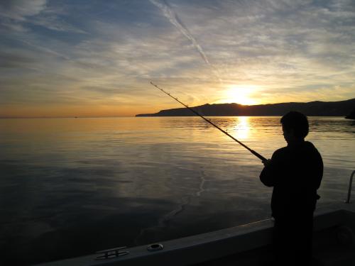 Kyle Merker fishing Santa Cruz Island at daybreak